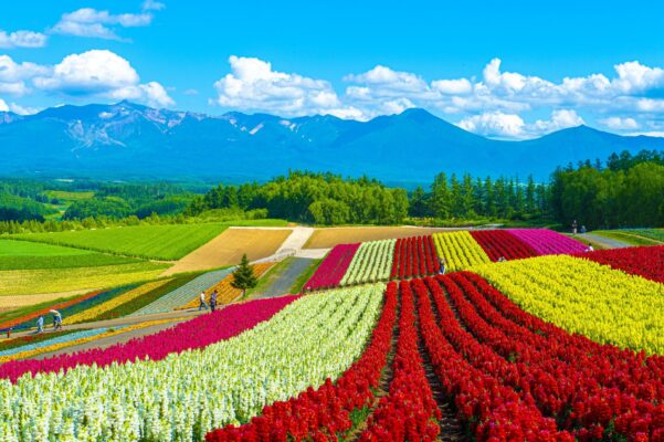 Hokkaido - Nhật Bản